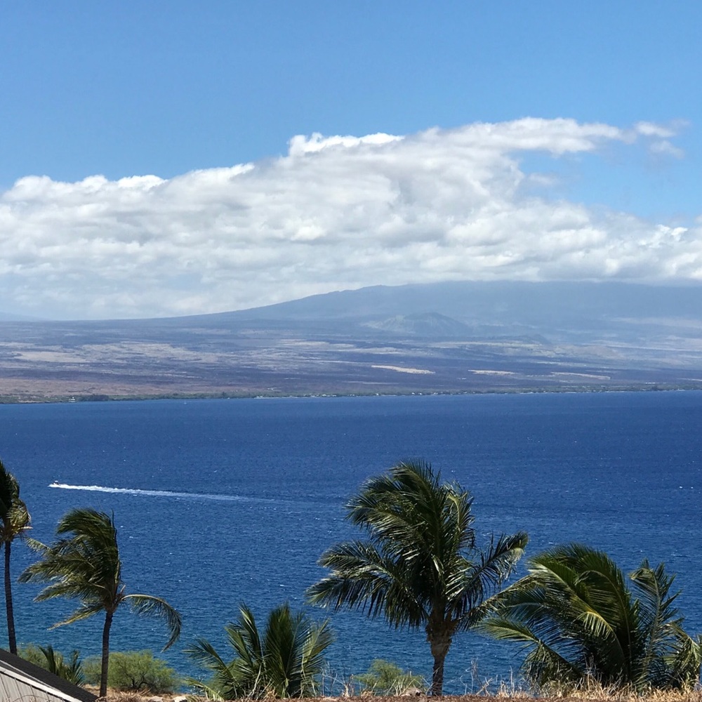 Meet your Posher, Jp